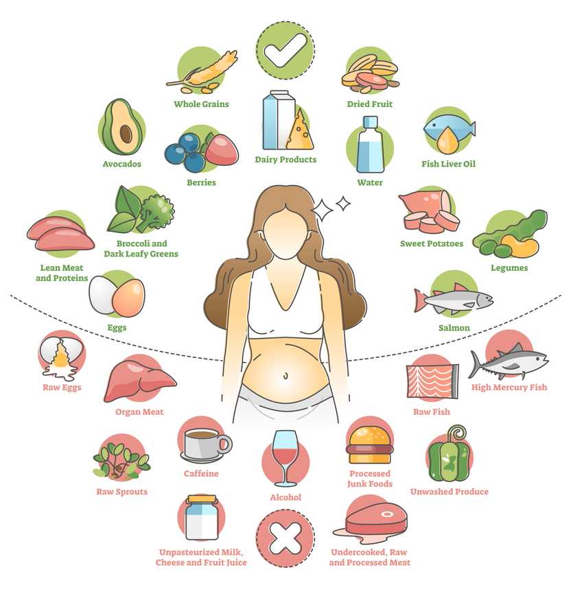 pregnancy nutrition chart