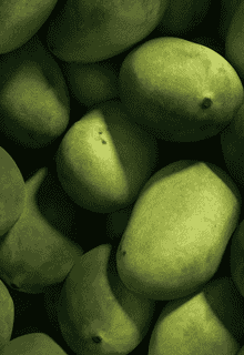 [[KAIA-181e0bee-a7dc-598c-be23-5ce0d0264f53]][[Loam Nutrition]] - Women's Wellness [[KAIA-9b67fb08-369f-5a60-918e-d066e9197802]][[7]]